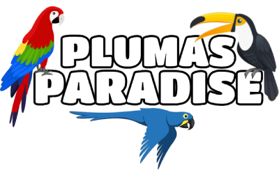 Plumas Paradise